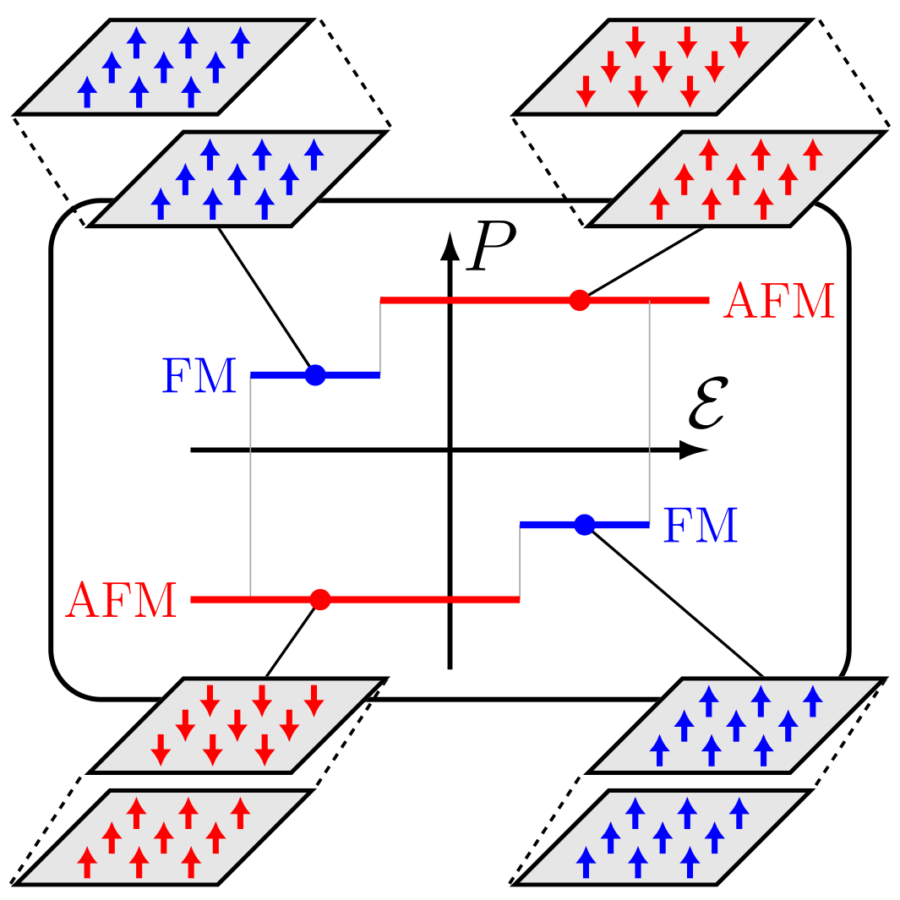 Two-Dimensional Multiferroics